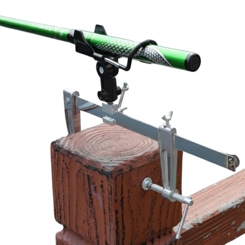 Avidora Ǝ h Ɨ bhz_[ D ƒu   bhL[p[ ƃX^h