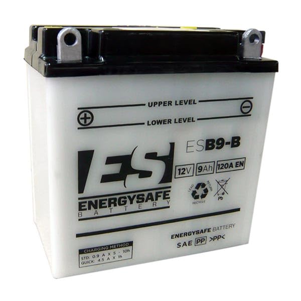 Batteria Energysafe Esb9-B 12V/9Ah