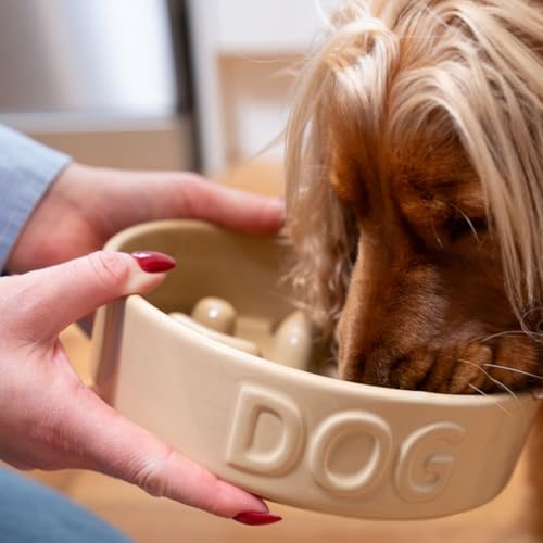 Mason Cash Cane Ceramic Slow Feeder Dog Bowl | Stoneware Pet Bowl with Raised Ridges for Healthy Digestion | Durable & Dishwasher Safe | Ideal for Medium and Large Dogs - Image 4