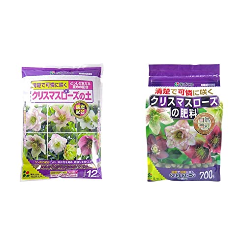 Ԃ NX}X[Y̓y 12L & NX}X[Y̔엿 700gyZbgz