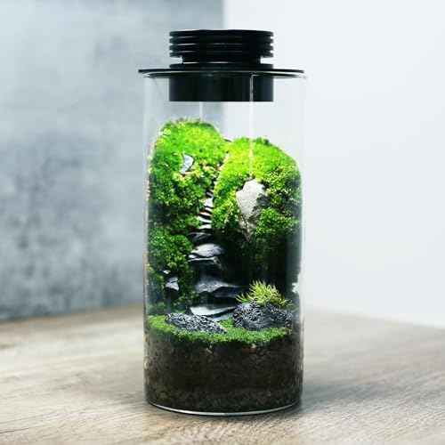 Top 5 Best Desktop Plant Terrariums and Glass Gardens in 2026 - PlantNative.org AREPK Desktop Glass Plant Terrarium with Grow Light