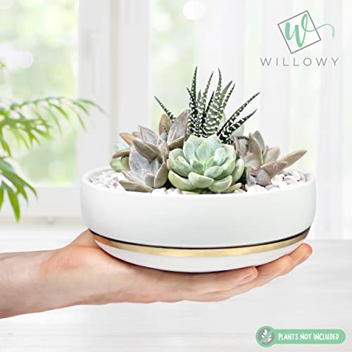 Willowy 6 Inch Succulent Pot With Drainage - Shallow Succulent Planter With Glossy White Finish And Gold Trim #TOP2