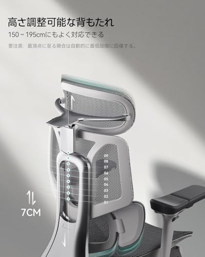 Hbada E3 Proオフィスチェア の商品画像 4