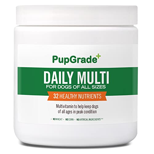 10 Best C D Dog Foods your Furry Friend will Love A Comprehensive