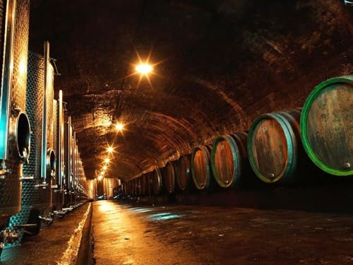 Maximin Grünhaus Riesling feinherb, Weisswein von der Mosel (1 x 0.75l)