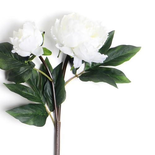 Image of PURE HOME + LIVING White Faux Peony Spray 1 Piece