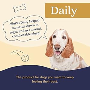   Daily-Hemp-Soft-Gels-Small-Dog-24mg-for-Mobility-Comfort-and-Calming-Support-for-Dogs-Under-25lbs-Effective-for-Joint-Function-Neuro-Support-and-Senior-Pet-Wellness