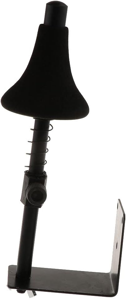 Baosity Durable Trumpet Wall Hanger Brass Instrument Accessory Trumpets Holder Black - Wall Mount, as described : Musical Instruments
