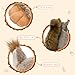MaoGoLan Giant Squirrel Stuffed Animal,17.7