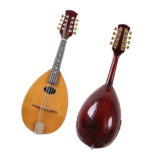 31C` nhCh Xv[X \bh Xv[ }h Xv[X gbv 8 }h M^[