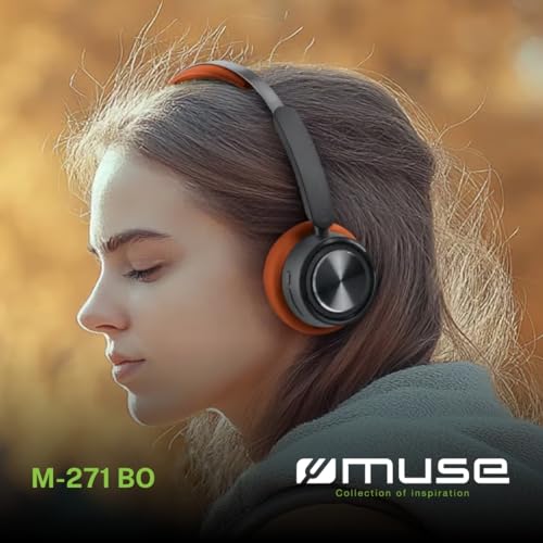 Muse 271 - vue 4