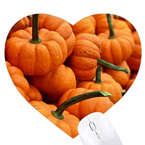 ʐ^̐VNȃJ{`G n[g^}EXpbhSpbh