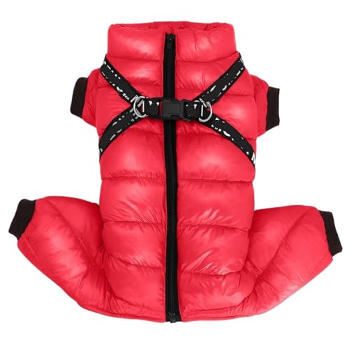 n[lXt~ppR[g - ghA^E^p(Red,10)