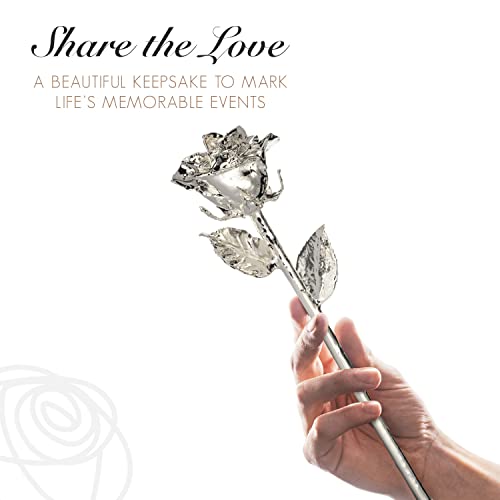 Image of Forever Rose Real Rose Dipped in Silver, Acrylic Heart Vase