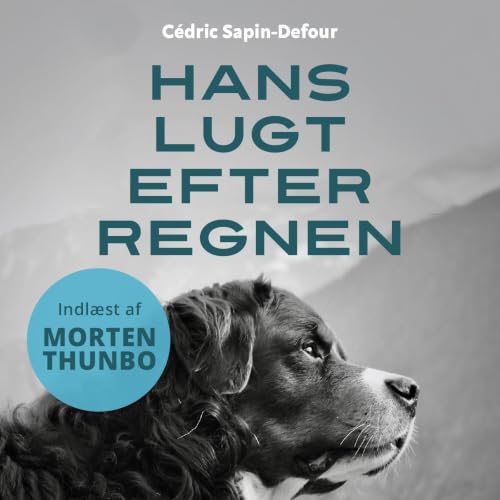 Diseño de la portada del título Hans lugt efter regnen