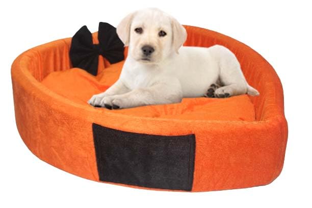 Expecting Smile Soft Velvet Sofa Heart Shape Dog Cat Pet Bed, Soft and Comfortable,with Pocket Orange Black 2 (B0CG3N6DVP) Amazon Price History, Amazon Price Tracker
