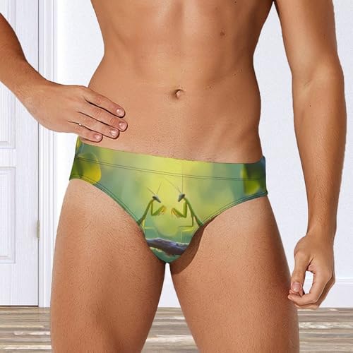 Malaysia Praying Mantis Insect Mens Swim Briefs Quick Dry Swim Trunk Bikini Underwear Swimsuit4