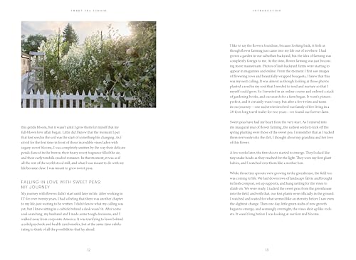 Sweet Pea School: Growing & Arranging the Garden's Most Romantic Blooms - Image 8