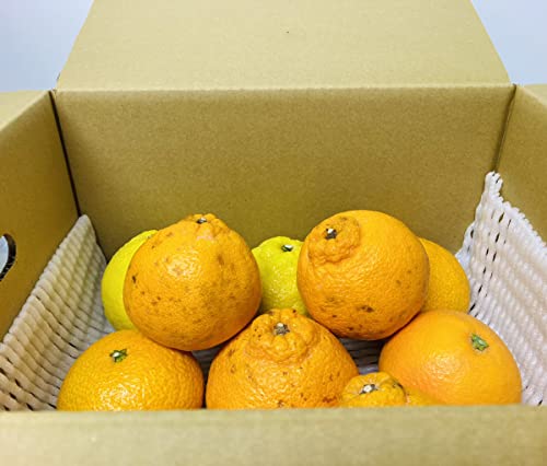 ���܂��ƐH�ʂ̗� �F�{���Y ���k�� �l�ߍ��킹4�s�Z�b�g �󂠂�i �ƒ�p �D�i �����p�s�� �T�C�Y�s���� �t���[�c �݂��� ���� �~�J�� �\��̔�