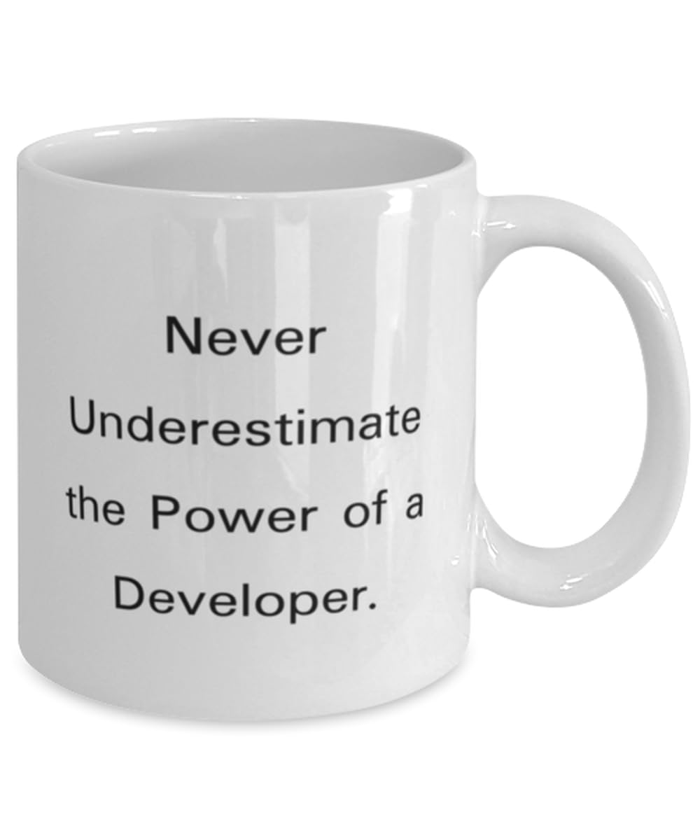 Appreciation Developer Gifts, Never Underestimate the Power, Birthday Unique Gifts, 11oz 15oz Mug For Developer from Team Leader