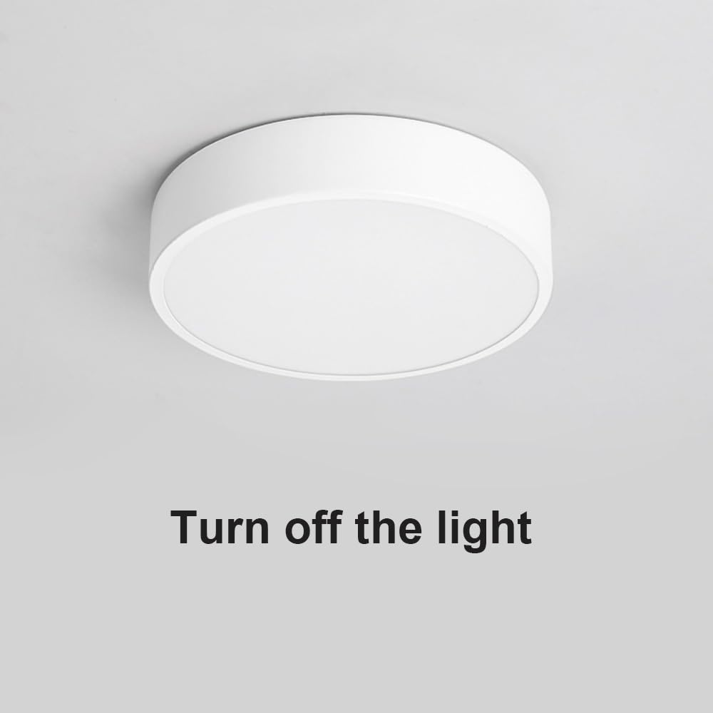 Nowoczesna Okrągła Lampy Sufitowa LED, Mały Plafon Minimalistyczny Ściemnialny Flush Mount Oświetlenie Sufitowe Korytarz Wejście Balkon(White(6000k),30cm/11.81in)