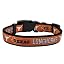 Texas Longhorns