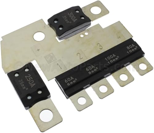 GM 20815889 FUSIBLE ASM-F/CMPT FUSIBLE BLK