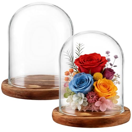 AKOLAFE 2 Stück Glasglocke mit Holzboden 15cm Hoch Glaskuppel Deko 12cm Durchmesser Glashaube Glasglocke Transparent Glasglocke Deko für Puppen Kerzen Sammlerstücke