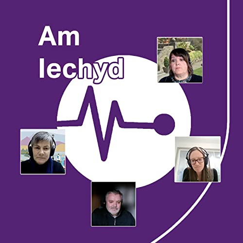 Y Berthynas rhwng Iechyd a Gofal