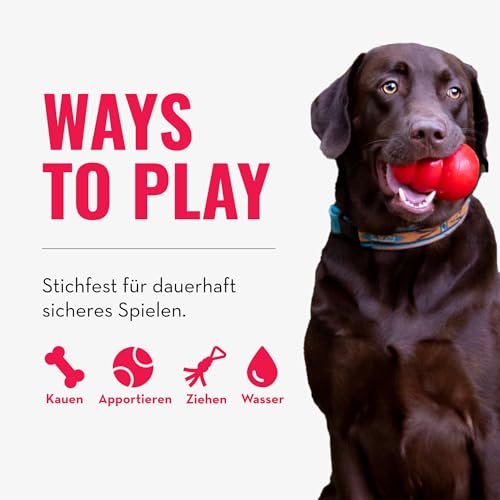 KONG Ball mit Seil - Hundespielzeug mit Seil für einfaches Werfen - Aus strapazierfähigem Naturkautschuk - Für Kleine Hunde - Rot