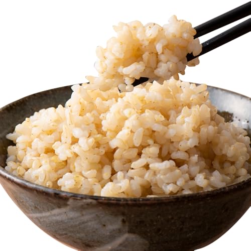 [隔月全2回定期便][玄米][令和7年産] ななつぼし さくら米10kg