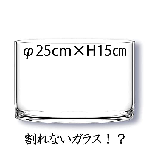 Amazon.co.jp: FOYER 割れない 花瓶 フラワーベース ポリカーボネート