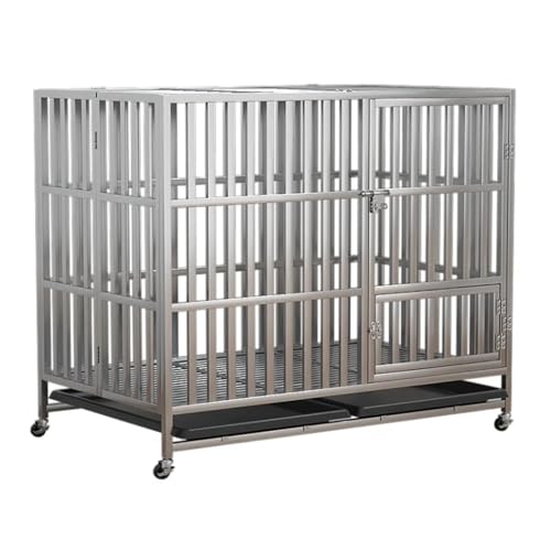 MODONG  P[W ybgQ[W T[NXeX̌pP[W  T[N Q[W LbgP[W tXNGA`[uXeX|pP[W ^/^/^ gȒPefB{[_[R[S[fgo[uh[ɓK