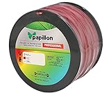 Papillon