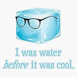 Hipster Ice Cube Was Water Before It Was Cool Vinyl Waterproof Sticker Decal Car Laptop Wall Window Bumper Sticker 5'
