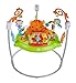 Fisher-Price CHM91 - Spielspaß Rainforest Jumperoo, mit Lichtern und Musik, höhenverstellbar, Babyspielzeug ab der Geburt
