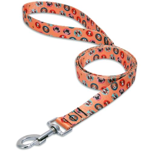 Image of Wooflix Heavy Duty Nylon Dog Leash | Anti Slip Padded Handle Long Dog Leash | Highly Reflective Leash for Dogs | Dog Rope for Medium & Large Dogs | Dog Training Leash | (Dogo Orange, 6.5 Feet Long)