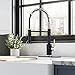 HGN Kitchen Faucet with Pull Down Sprayer Single Handle Lever Spring Kitchen Sink Faucets