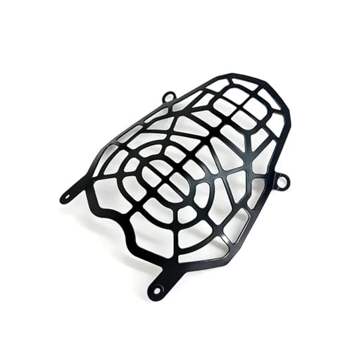 Protecteur phare rallye pour DS 800X en voyage