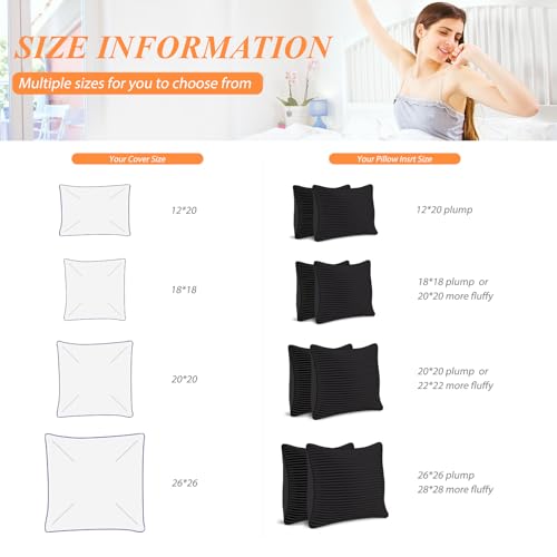 Throw Pillows Insert 18x18 Set of 2,Decorative Pillows for Couch and Bed,Indoor Square Pillow Stuffing for Living Room with Premium Original Down Alternative Filling,Black