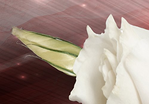 Amazon.co.jp: artgeist Handart キャンバス ウォールアート 花 バラ