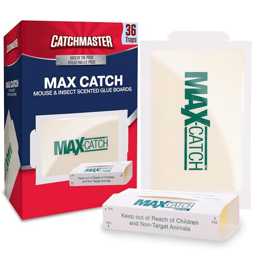 Catchmaster Max-Catch Mouse & Insect Glue Trap 36pk, Mouse Traps Indoor for Home, Sticky Pest Control Adhesive Tray for Catching Bugs, Bulk Classic Glue Boards