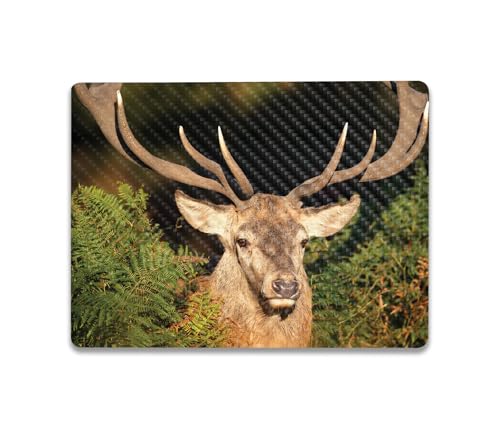 Image of MightySkins Carbon Fiber Skin Compatible with Microsoft Surface Laptop Go 3 (2023) Full Wrap Kit - Morning Buck | Protective, Durable Textured Carbon Fiber Finish | Made in The USA