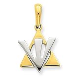 14 K oro de dos tonos estrella de David Colgante