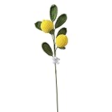BTYQKZVPM