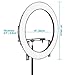 Neewer 19 inches Ring Light Dimmable Bi-Color LED Lighting Kit with Stand Bracket, 192 LED Beads, 3200-5600K, CRI 96+ for Studio YouTube Video Photography (AC/Battery Powered, Battery Not Included)