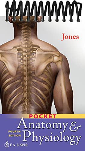 Anatomy & Physiology view 2