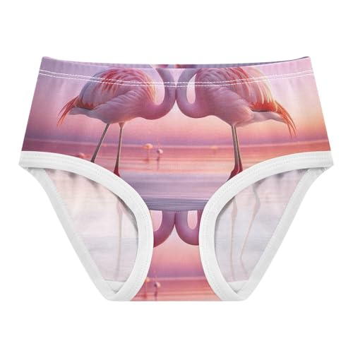 Valentine Flamingos Pink Undies for Toddler Girls, Cotton Girls Underwear, 2T–8 Years