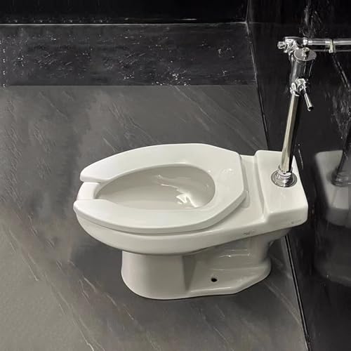 Sanitario de altura cómoda para uso comercial, con válvula de descarga manual, material cerámico, instalación en piso y drenaje de piso, desplazamiento de 4.5L miniatura 3