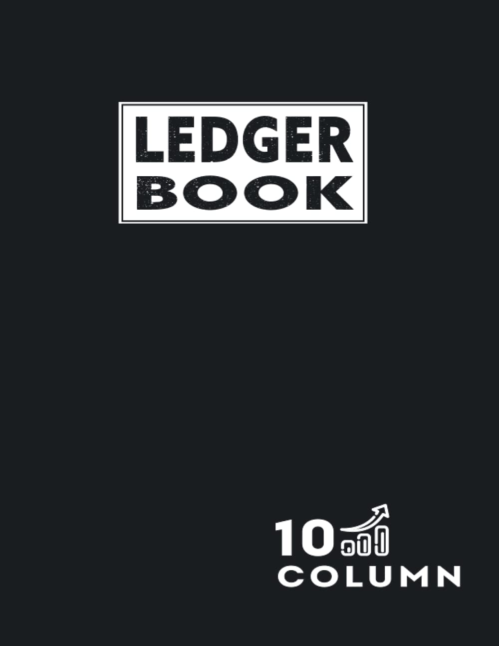 10 Column Ledger Book: Blank Accounting Ledger Book For Bookkeeping, Columnar Pad 10 Columns, Small Business